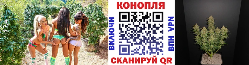 Наркошоп купить СК  КОКАИН  Мефедрон  АМФЕТАМИН  Каннабис  Свободный