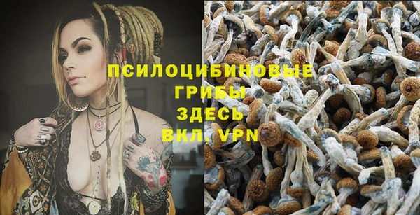 первитин Россошь