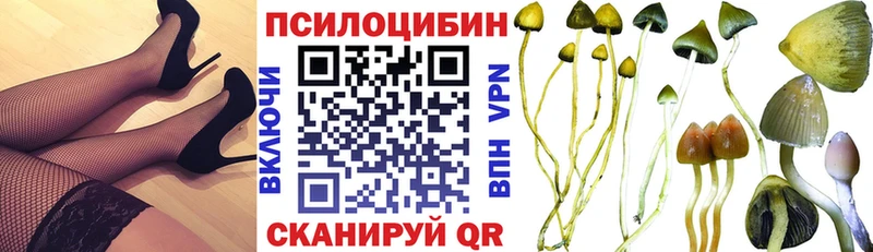 Псилоцибиновые грибы ЛСД  Купить где  Свободный 