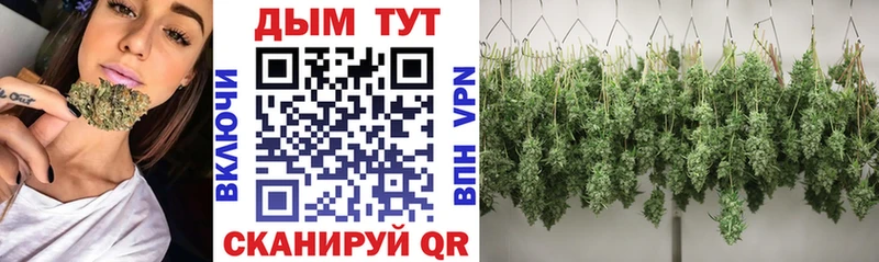 Купить закладки  Свободный  Бошки марихуана планчик 